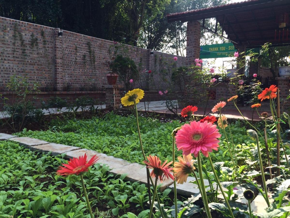 Tam Coc Craft Homestay Ninh Binh Camera foto